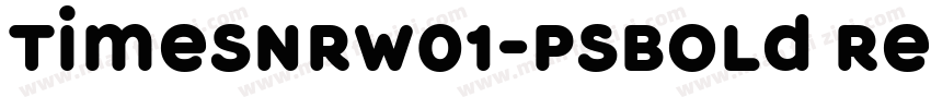 TimesNRW01-PSBold Re字体转换